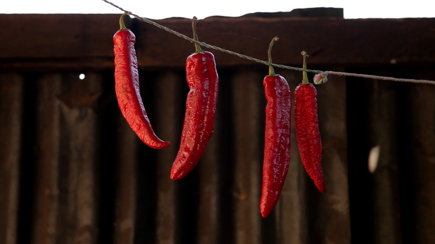 02 Chiles