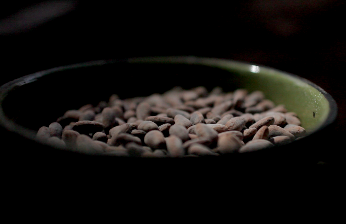 05 Cacao