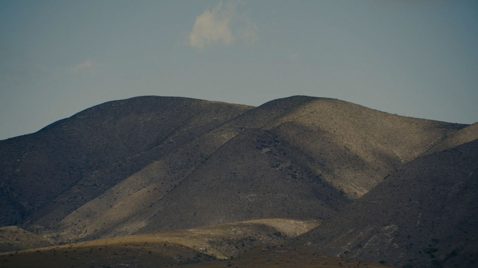 WhatsApp Image 2025-09-18 at 10.30.42 (1)