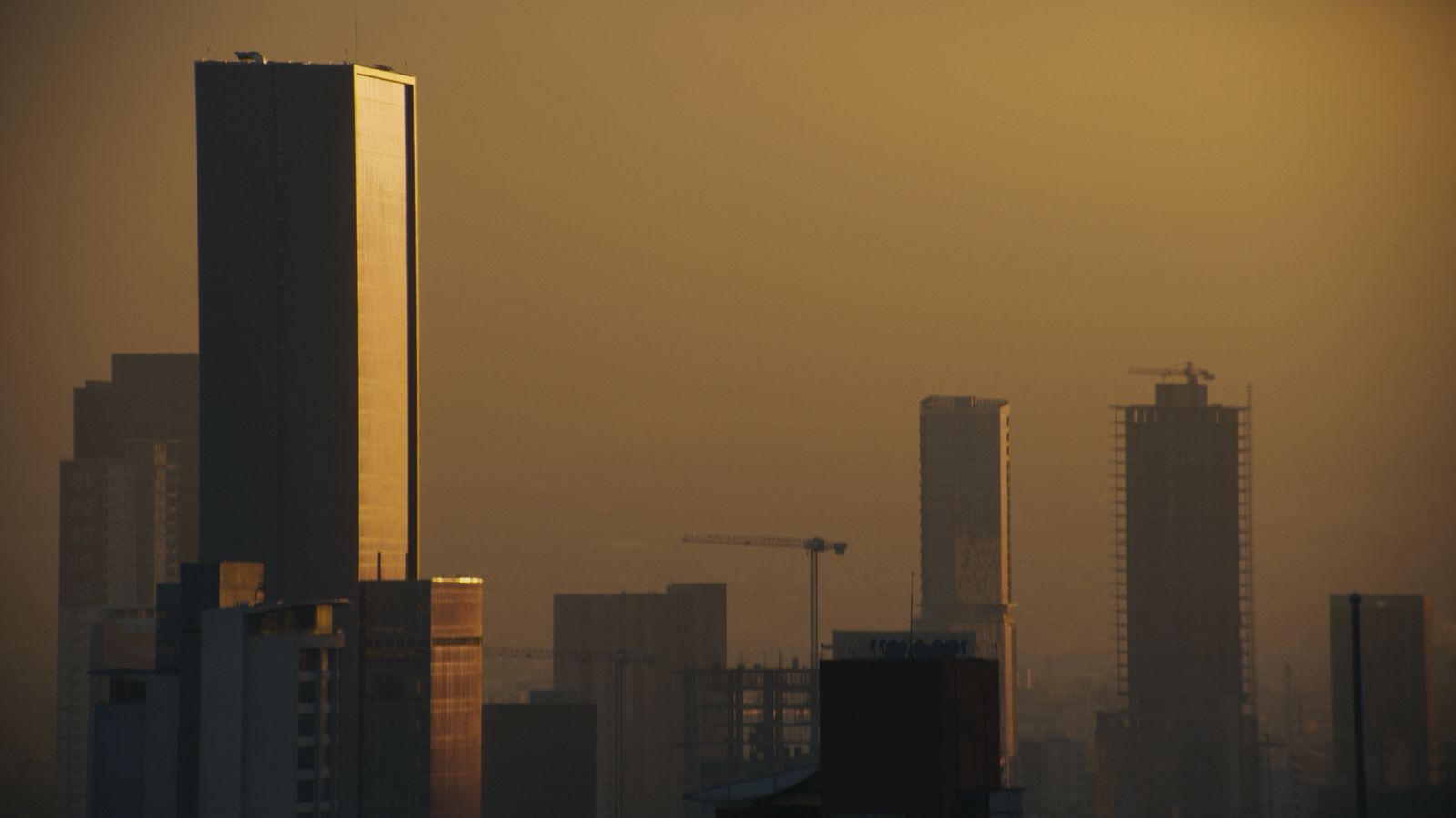 WhatsApp Image 2025-09-18 at 10.30.46 (2)