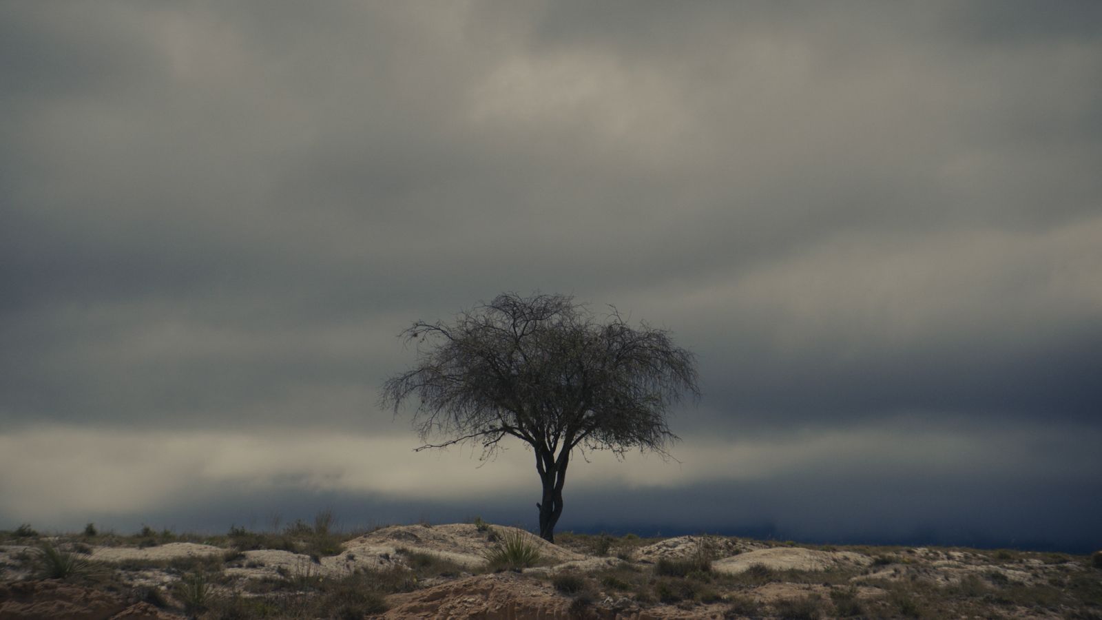 WhatsApp Image 2025-09-18 at 10.30.46